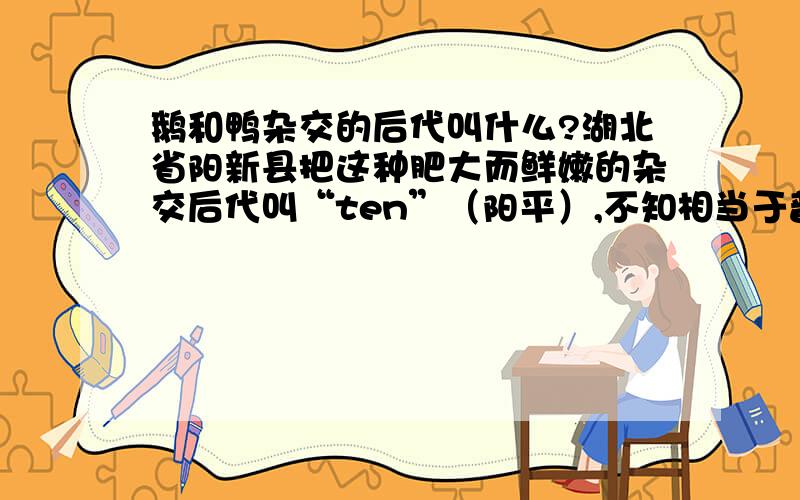 鹅和鸭杂交的后代叫什么?湖北省阳新县把这种肥大而鲜嫩的杂交后代叫“ten”（阳平）,不知相当于普通话的tun ,还是teng 怎么写?学名是什么?现在有写成“豚”的,可是“豚”是猪啊!谢谢