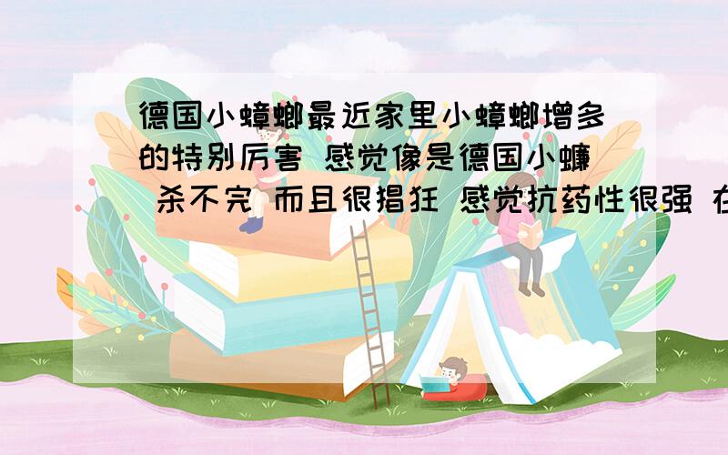 德国小蟑螂最近家里小蟑螂增多的特别厉害 感觉像是德国小蠊 杀不完 而且很猖狂 感觉抗药性很强 在之前用过一种蟑螂药 两三天后 大蟑螂基本都死了··之后··这种物种就出来了 放在多的