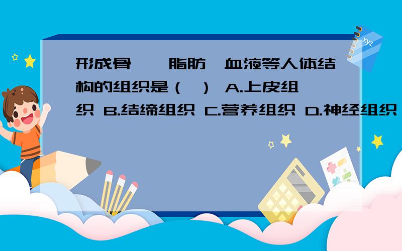 形成骨骼、脂肪、血液等人体结构的组织是（ ） A.上皮组织 B.结缔组织 C.营养组织 D.神经组织