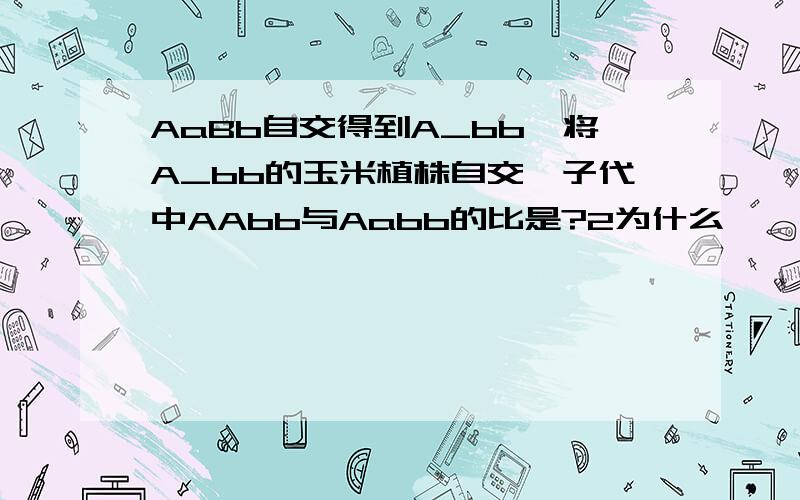 AaBb自交得到A_bb,将A_bb的玉米植株自交,子代中AAbb与Aabb的比是?2为什么