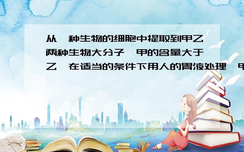 从一种生物的细胞中提取到甲乙两种生物大分子,甲的含量大于乙,在适当的条件下用人的胃液处理,甲分解乙分解分析甲乙的化学成分,甲含有氮和硫,乙含有氮和磷,甲乙两种物质遇到碘都不变