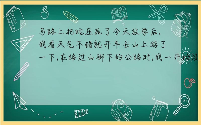 马路上把蛇压死了今天放学后,我看天气不错就开车去山上游了一下,在路过山脚下的公路时,我一开始没注意,等到估计还有1米左右的时候,就看到一条蛇,他是盘在地上,当我靠近时,他的头就抬