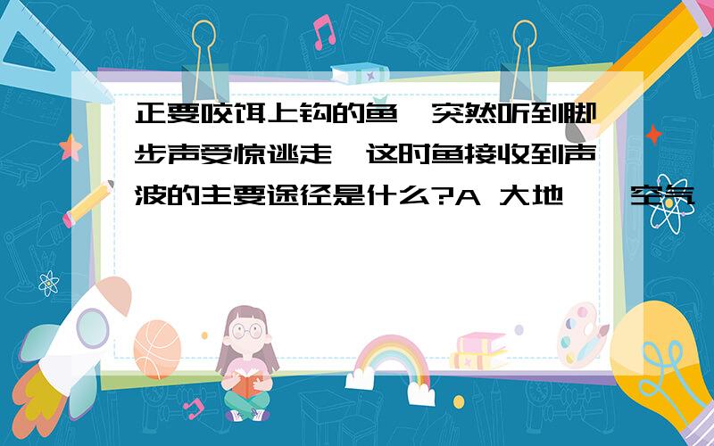 正要咬饵上钩的鱼,突然听到脚步声受惊逃走,这时鱼接收到声波的主要途径是什么?A 大地——空气——水——鱼 B 空气——水——鱼 C大地——水——鱼 D 水——鱼