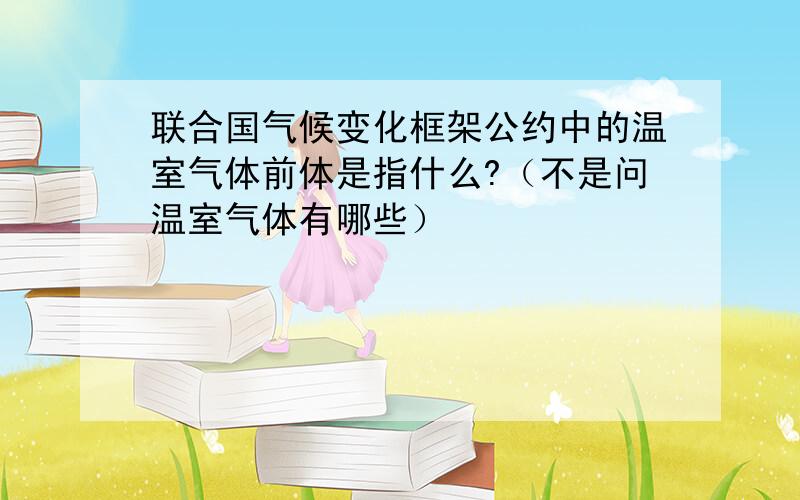 联合国气候变化框架公约中的温室气体前体是指什么?（不是问温室气体有哪些）