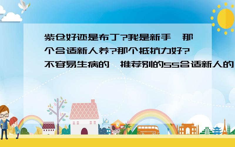 紫仓好还是布丁?我是新手、那个合适新人养?那个抵抗力好?不容易生病的、推荐别的SS合适新人的、