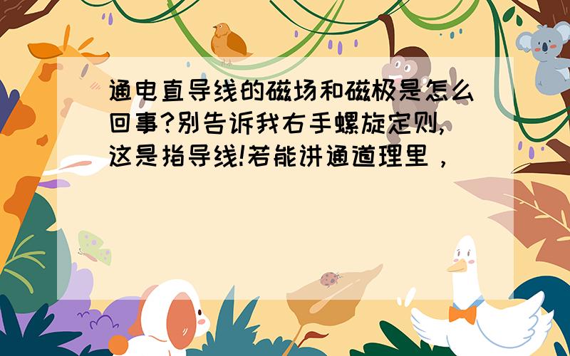 通电直导线的磁场和磁极是怎么回事?别告诉我右手螺旋定则,这是指导线!若能讲通道理里，