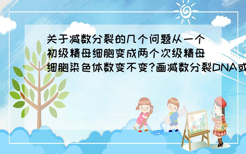 关于减数分裂的几个问题从一个初级精母细胞变成两个次级精母细胞染色体数变不变?画减数分裂DNA或染色体数目变化的图像时,N是什么意思?有人说代表同源染色体对数,但是减二已经没有同