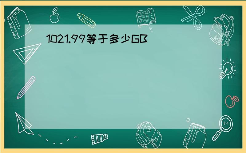 1021.99等于多少GB