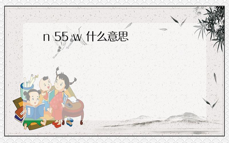 n 55 w 什么意思