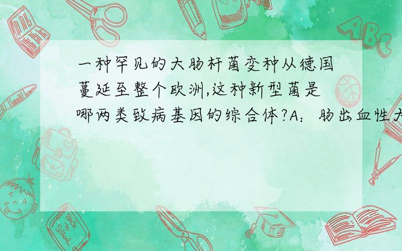 一种罕见的大肠杆菌变种从德国蔓延至整个欧洲,这种新型菌是哪两类致病基因的综合体?A：肠出血性大肠杆菌和肠黏附性大肠杆菌B：肠致病性大肠杆菌和肠产性大肠杆菌C：肠黏附性大肠杆