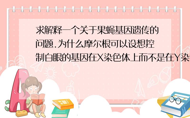 求解释一个关于果蝇基因遗传的问题.为什么摩尔根可以设想控制白眼的基因在X染色体上而不是在Y染色体上还有在讲人类的红绿色盲症的时候,老师为了让我们知道红绿色盲基因是X染色体上