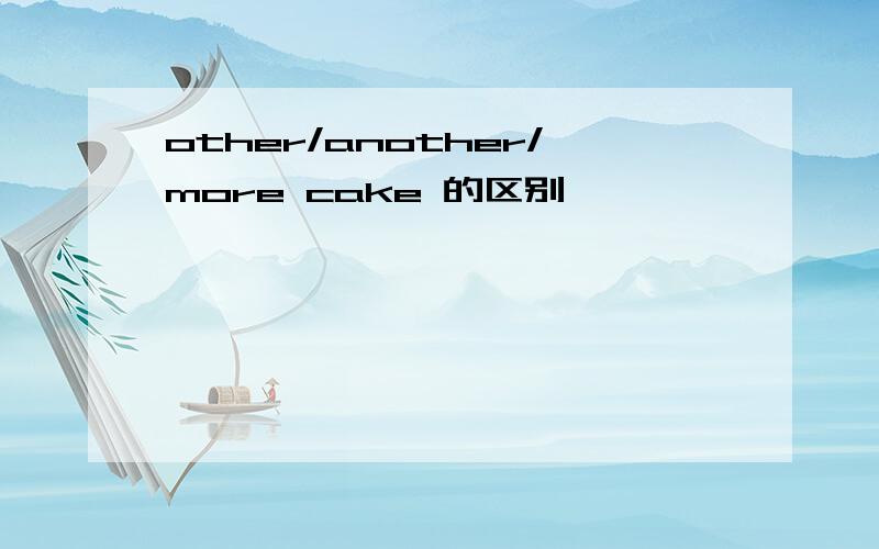 other/another/more cake 的区别