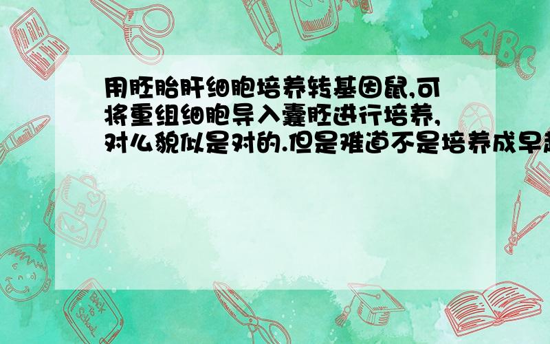 用胚胎肝细胞培养转基因鼠,可将重组细胞导入囊胚进行培养,对么貌似是对的.但是难道不是培养成早起胚胎,再胚胎移植么?怎么直接导入到其他的囊胚里去了?