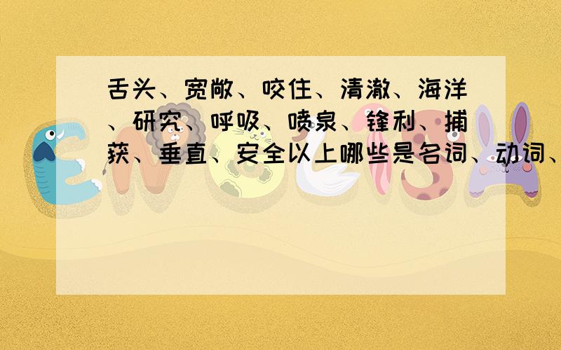 舌头、宽敞、咬住、清澈、海洋、研究、呼吸、喷泉、锋利、捕获、垂直、安全以上哪些是名词、动词、形容词