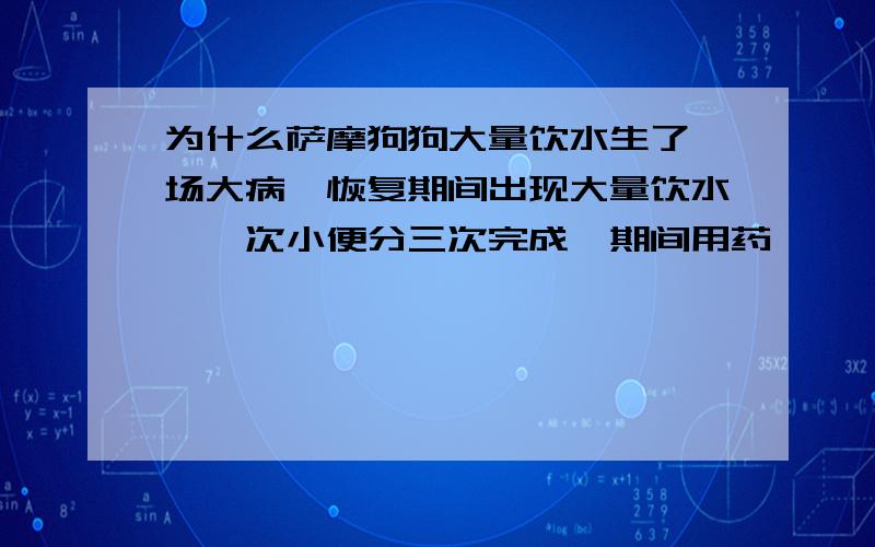 为什么萨摩狗狗大量饮水生了一场大病,恢复期间出现大量饮水,一次小便分三次完成,期间用药