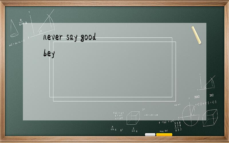 never say goodbey