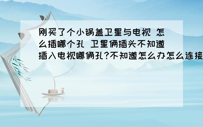 刚买了个小锅盖卫星与电视 怎么插哪个孔 卫星俩插头不知道插入电视哪俩孔?不知道怎么办怎么连接都不对 就是与电视连接不起来 没办法调星呀、、、求解!附带图就更好了谢谢