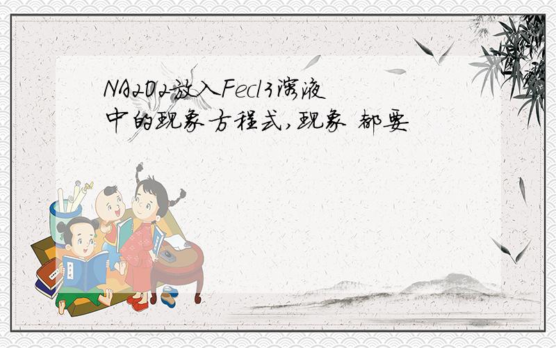 NA2O2放入Fecl3溶液中的现象方程式,现象 都要