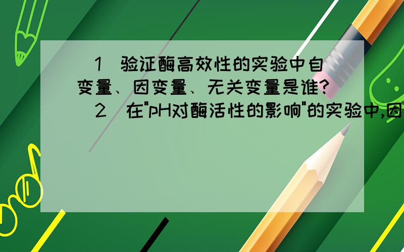 （1）验证酶高效性的实验中自变量﹑因变量﹑无关变量是谁?（2）在