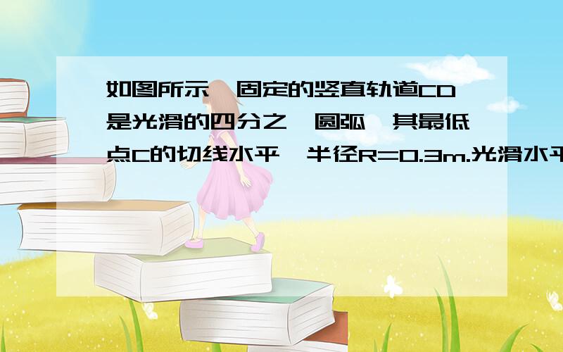 如图所示,固定的竖直轨道CD是光滑的四分之一圆弧,其最低点C的切线水平,半径R=0.3m.光滑水平面上,长L=2m的平板车上表面与C登高.车的左端A处放一质量m=1kg的小物块,物块与小车间的动摩擦因数