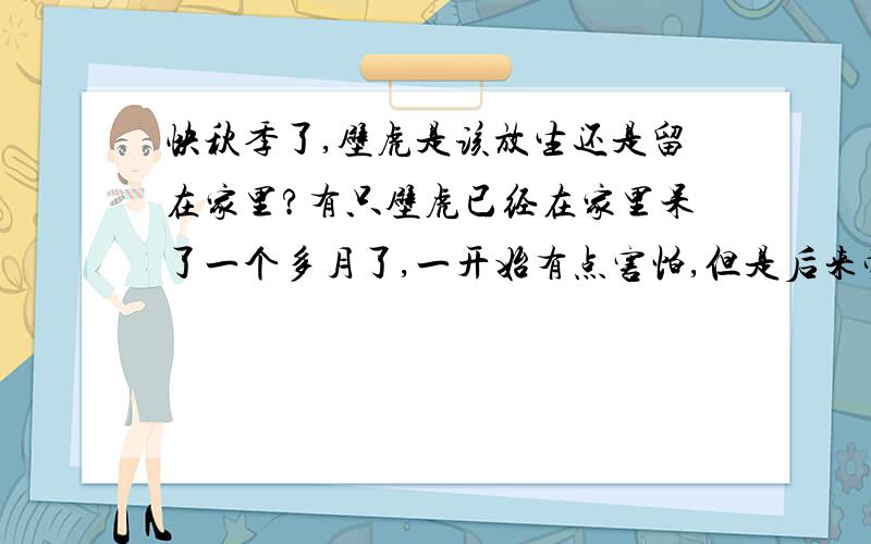 快秋季了,壁虎是该放生还是留在家里?有只壁虎已经在家里呆了一个多月了,一开始有点害怕,但是后来觉得挺可爱的,就一直没有赶他走.毕竟还是益虫嘛~但是现在快到秋季了,蚊子之类的飞虫