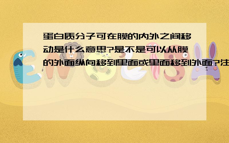 蛋白质分子可在膜的内外之间移动是什么意思?是不是可以从膜的外面纵向移到里面或里面移到外面?注意是细胞膜!