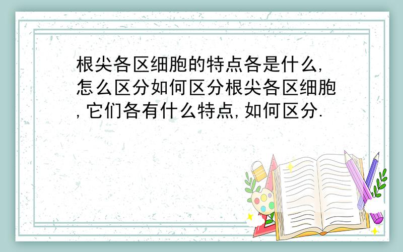 根尖各区细胞的特点各是什么,怎么区分如何区分根尖各区细胞,它们各有什么特点,如何区分.