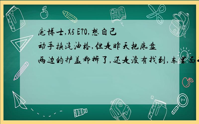 庞博士,X5 E70,想自己动手换汽油格,但是昨天把底盘两边的护盖都拆了,还是没有找到,车里面我还没有拆,不过我看那个汽油格的样子不像是装在油箱里面的,请问这车的汽油格到底在哪里啊?