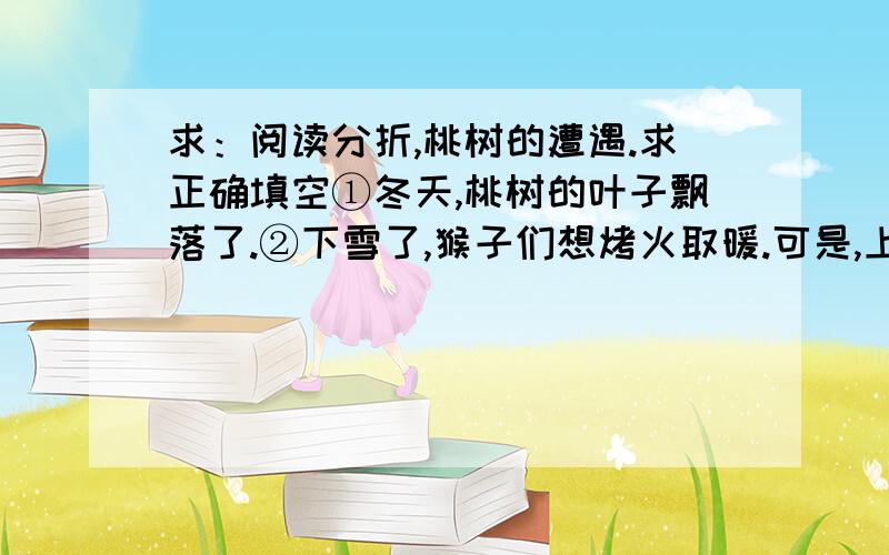 求：阅读分折,桃树的遭遇.求正确填空①冬天,桃树的叶子飘落了.②下雪了,猴子们想烤火取暖.可是,上山打柴多冷啊!大家你推我,我推你,谁多不肯去,最后,大家硬把这件事儿推给了灰猴.③灰猴