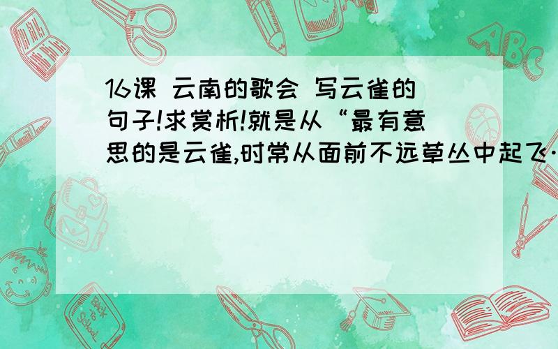 16课 云南的歌会 写云雀的句子!求赏析!就是从“最有意思的是云雀,时常从面前不远草丛中起飞……又接着起飞”,请就其写作技巧做赏析点评!