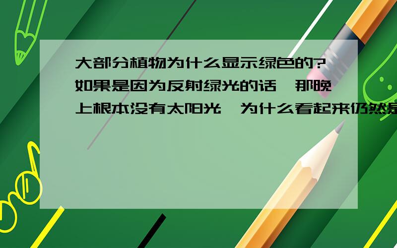 大部分植物为什么显示绿色的?如果是因为反射绿光的话,那晚上根本没有太阳光,为什么看起来仍然是绿色的、