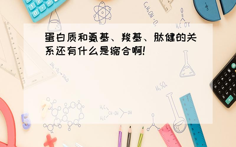 蛋白质和氨基、羧基、肽健的关系还有什么是缩合啊!