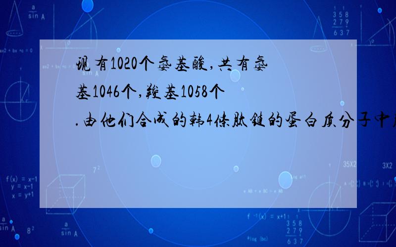 现有1020个氨基酸,共有氨基1046个,羧基1058个.由他们合成的韩4条肽链的蛋白质分子中肽键,氨基,羧基为为什么?怎么算?