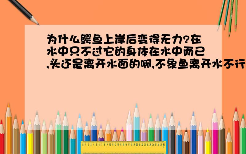 为什么鳄鱼上岸后变得无力?在水中只不过它的身体在水中而已,头还是离开水面的啊,不象鱼离开水不行.