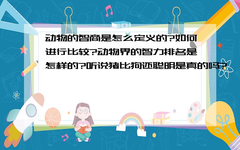 动物的智商是怎么定义的?如何进行比较?动物界的智力排名是怎样的?听说猪比狗还聪明是真的吗?