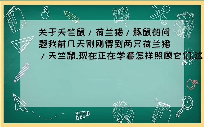 关于天竺鼠/荷兰猪/豚鼠的问题我前几天刚刚得到两只荷兰猪/天竺鼠.现在正在学着怎样照顾它们.这几天,它们有些行为让我不解,不知道这样有没有什么问题.1、前两天它们把垫着的泡沫塑料