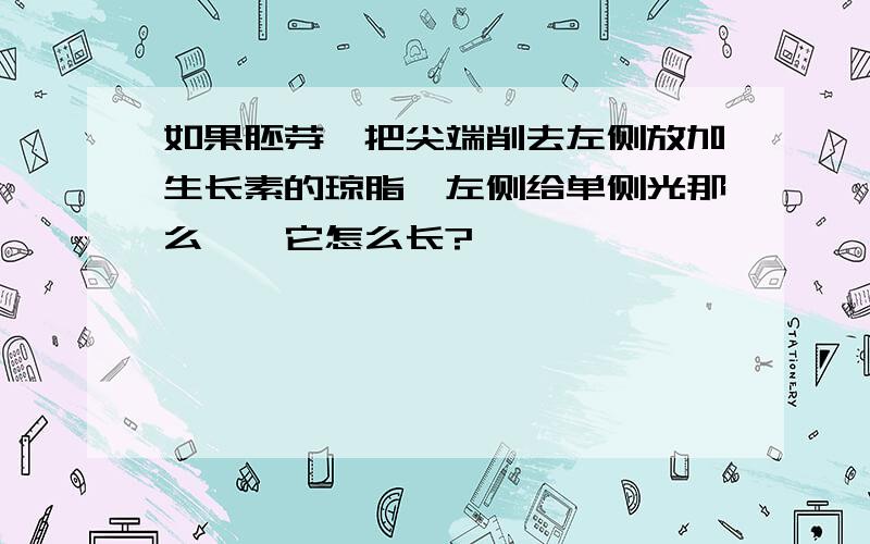 如果胚芽鞘把尖端削去左侧放加生长素的琼脂,左侧给单侧光那么……它怎么长?