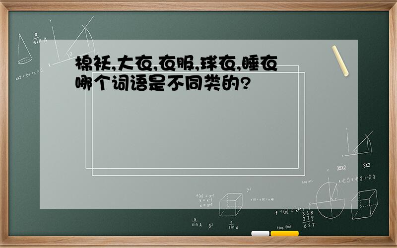 棉袄,大衣,衣服,球衣,睡衣哪个词语是不同类的?