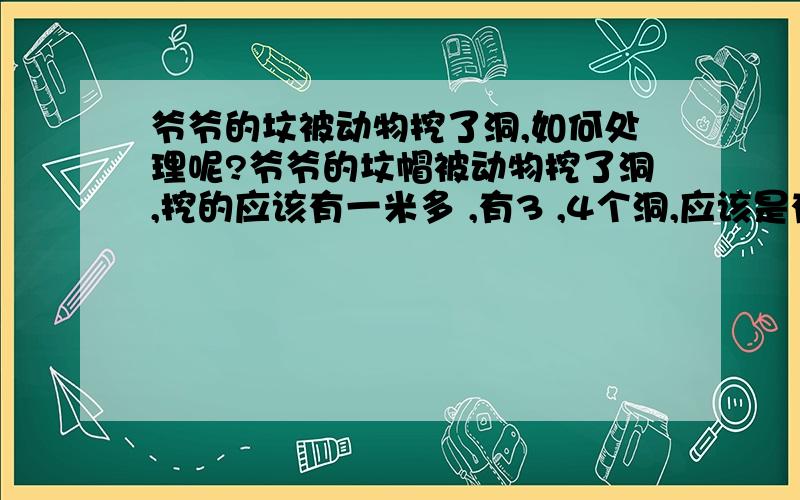 爷爷的坟被动物挖了洞,如何处理呢?爷爷的坟帽被动物挖了洞,挖的应该有一米多 ,有3 ,4个洞,应该是有动物住在里面了（估计是刺猬） 如何处理呢?我自己用土把洞塞拉起来