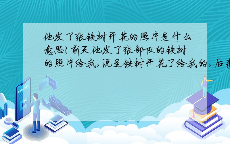 他发了张铁树开花的照片是什么意思?前天他发了张部队的铁树的照片给我,说是铁树开花了给我的,后来我一看是下雪了被雪给没的像是开花了,后来我朋友问我这个是什么意思,