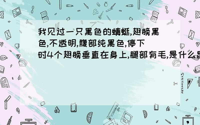 我见过一只黑色的蜻蜓,翅膀黑色,不透明,腹部纯黑色,停下时4个翅膀垂直在身上,腿部有毛,是什么昆虫?