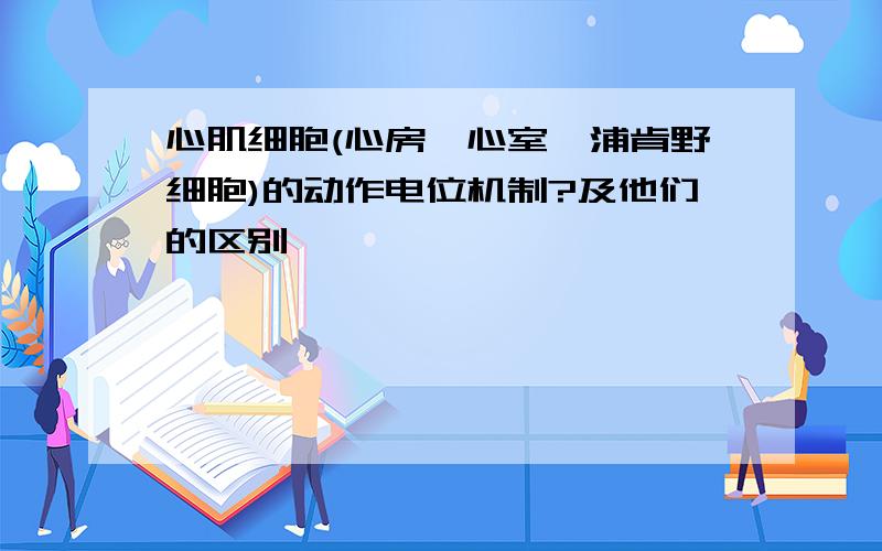 心肌细胞(心房,心室,浦肯野细胞)的动作电位机制?及他们的区别