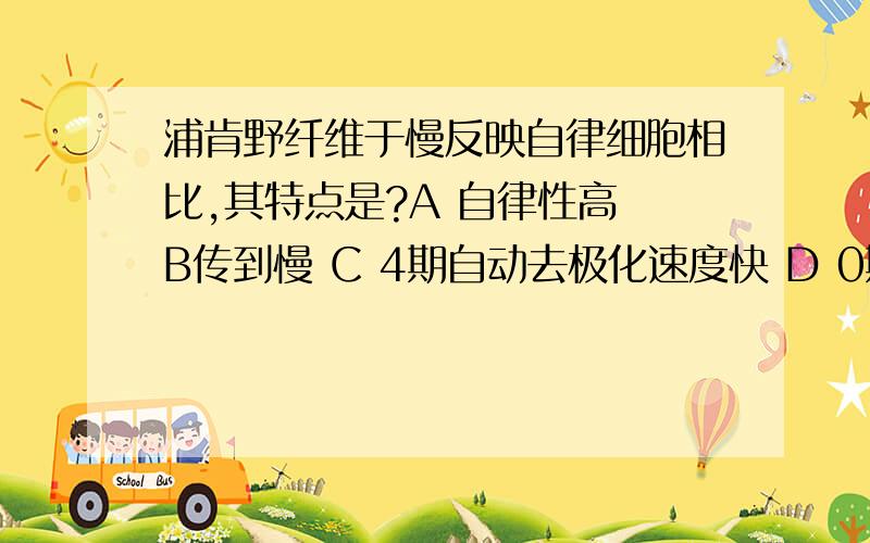 浦肯野纤维于慢反映自律细胞相比,其特点是?A 自律性高 B传到慢 C 4期自动去极化速度快 D 0期去极化速度快 E 收缩性强选那个 因为什么？