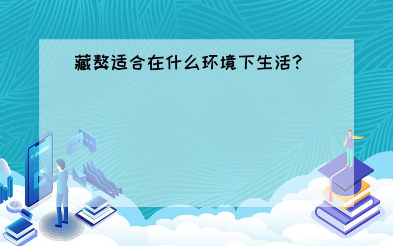 藏獒适合在什么环境下生活?