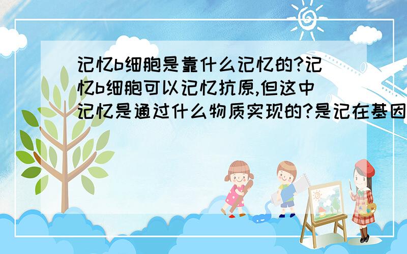 记忆b细胞是靠什么记忆的?记忆b细胞可以记忆抗原,但这中记忆是通过什么物质实现的?是记在基因中吗?