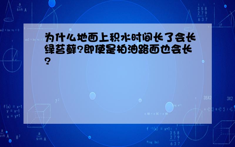 为什么地面上积水时间长了会长绿苔藓?即使是柏油路面也会长?