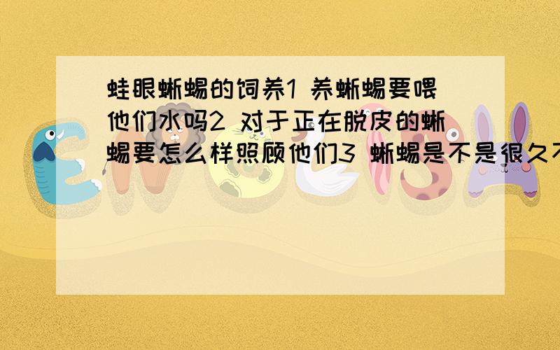 蛙眼蜥蜴的饲养1 养蜥蜴要喂他们水吗2 对于正在脱皮的蜥蜴要怎么样照顾他们3 蜥蜴是不是很久不吃东西都可以...以上