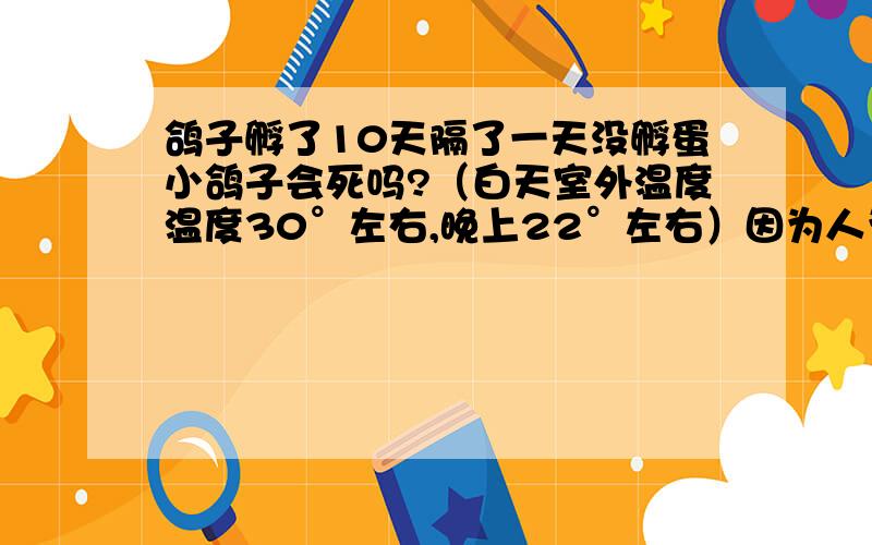 鸽子孵了10天隔了一天没孵蛋小鸽子会死吗?（白天室外温度温度30°左右,晚上22°左右）因为人为原因鸽子妈妈飞走就一直没飞回来可能是害怕了,现在窝里还有两颗蛋,不知道里面小鸽子有没