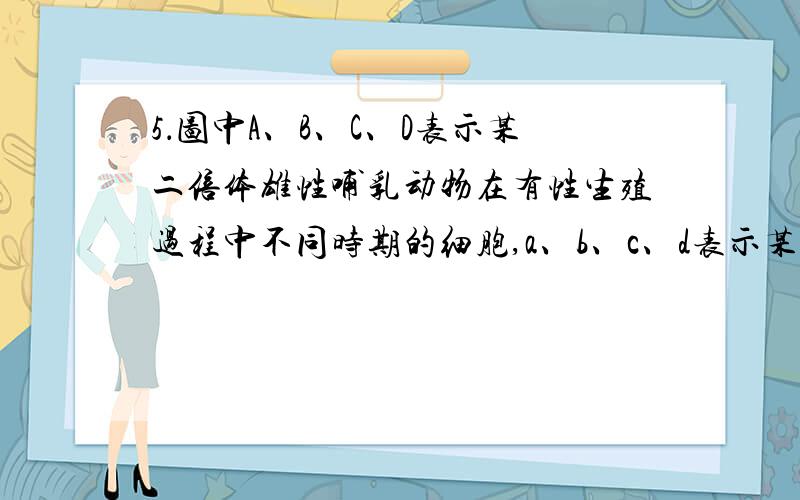 5．图中A、B、C、D表示某二倍体雄性哺乳动物在有性生殖过程中不同时期的细胞,a、b、c、d表示某四种结构或急5．图中A、B、C、D表示某二倍体雄性哺乳动物在有性生殖过程中不同时期的细胞