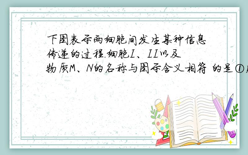 下图表示两细胞间发生某种信息传递的过程.细胞I、II以及物质M、N的名称与图示含义相符 的是①胰岛A细胞、肝细胞、胰高血糖素、肝糖原②浆细胞、肺结核杆菌、抗体、抗原③甲状腺细胞